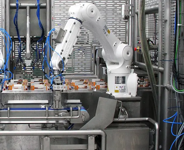Automated Food Packaging System for Sandwich