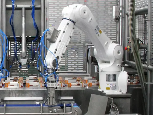 Automated Food Packaging System for Sandwich