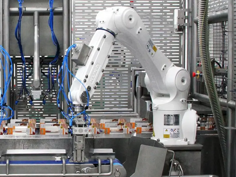 Automated Food Packaging System for Sandwich