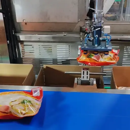 Automated food packaging machine picking frozen food pouches and placing them into cartons for case packing